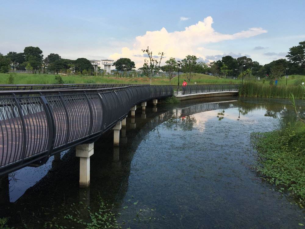 新加坡经验潜流湿地助力雄安新区碧水建设