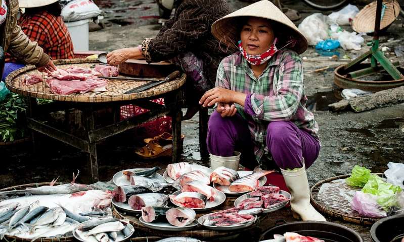 Credit: Unsplash How small-scale fishers are struggling amid COVID-19 crisis