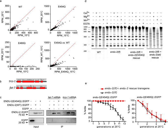 figure4
