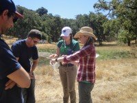 Newswise: New studies show how to save parasites and why it’s important
