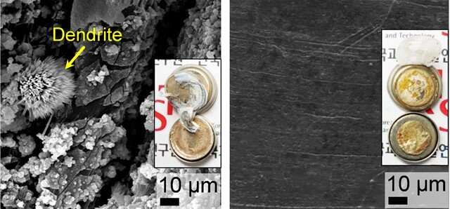 Top-view SEM images and photographs (inset) of plain-Li, and Li@p-PCL electrodes after cycling tests with Li|Li symmetrical cells at 1.0 mA cm-2 and 1.0 mAh cm-2. Credit: Korea Institute of Science and Technology (KIST) Semiconductor technology mitigates fire risk in electric vehicle batteries