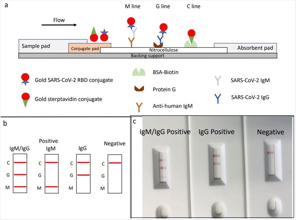Schematic illustration of rapid SARS‐CoV‐2 IgM‐IgG combined antibody test and example of typical results. a, Schematic diagram of the detection device; b, illustration of different testing results; c, example of typical results obtained with the RDT. Schematic illustration of rapid SARS‐CoV‐2 IgM‐IgG combined antibody test and example of typical results. a, Schematic diagram of the detection device; b, illustration of different testing results; c, example of typical results obtained with the RDT.