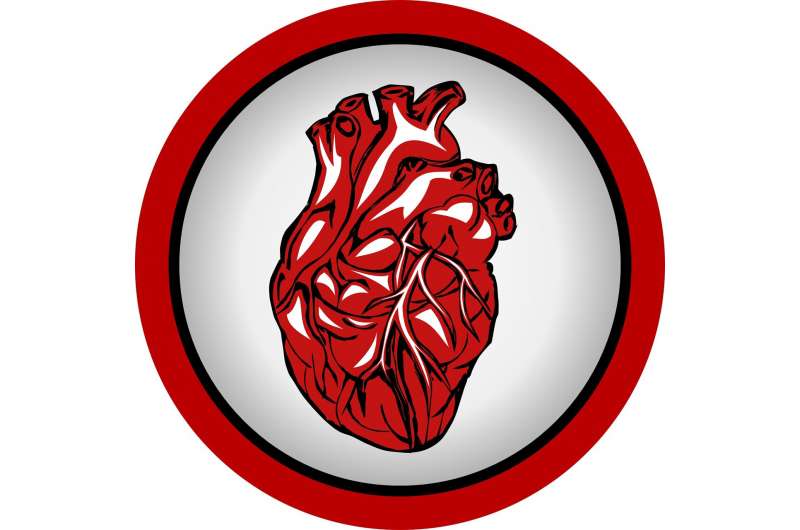 Credit: CC0 Public Domain cardio