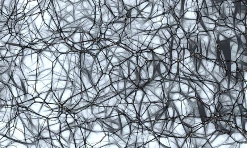 brain cells
