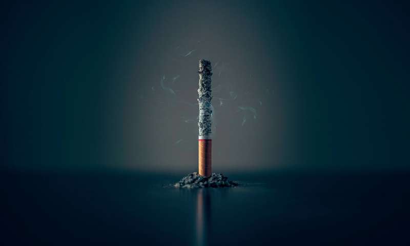Credit: Unsplash/CC0 Public Domain tobacco