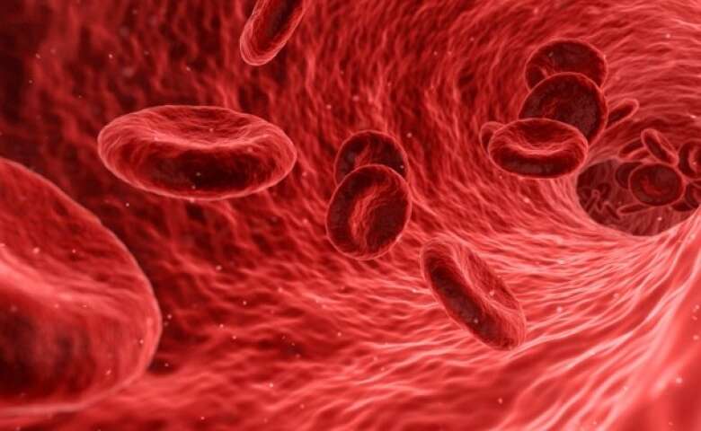 Ongoing anticoagulant treatment does not seem to protect against severe COVID-19