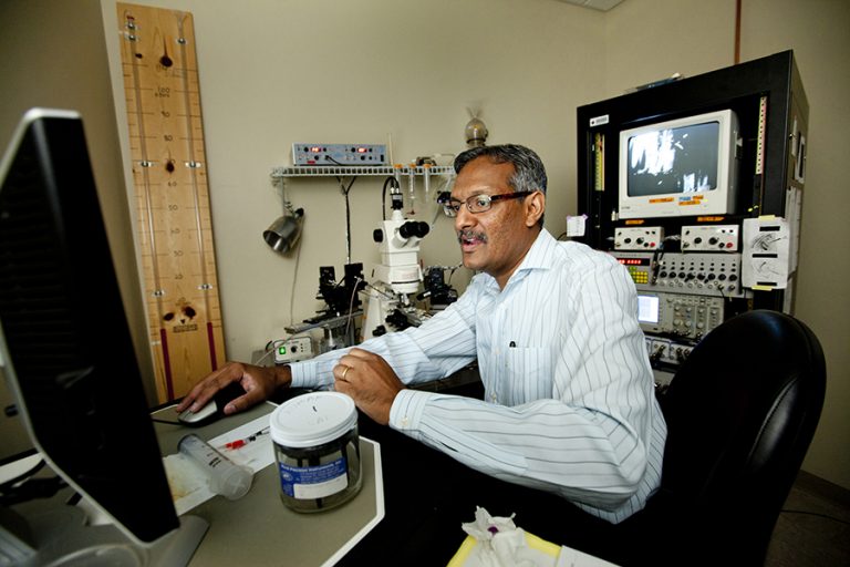 Newswise: College of Medicine researcher makes novel discoveries in preventing epileptic seizures