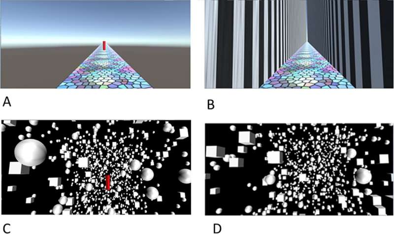 Credit: York University What happens when your brain can't tell which way is up or down?