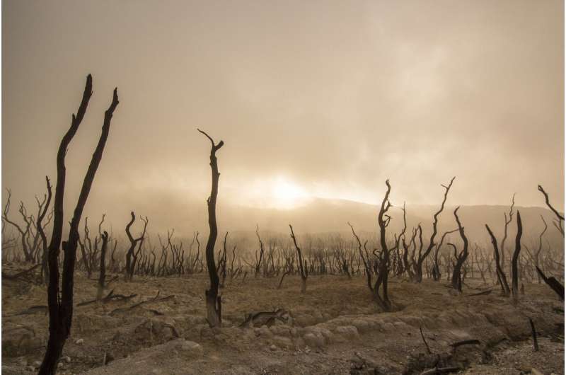 Credit: CC0 Public Domain climate