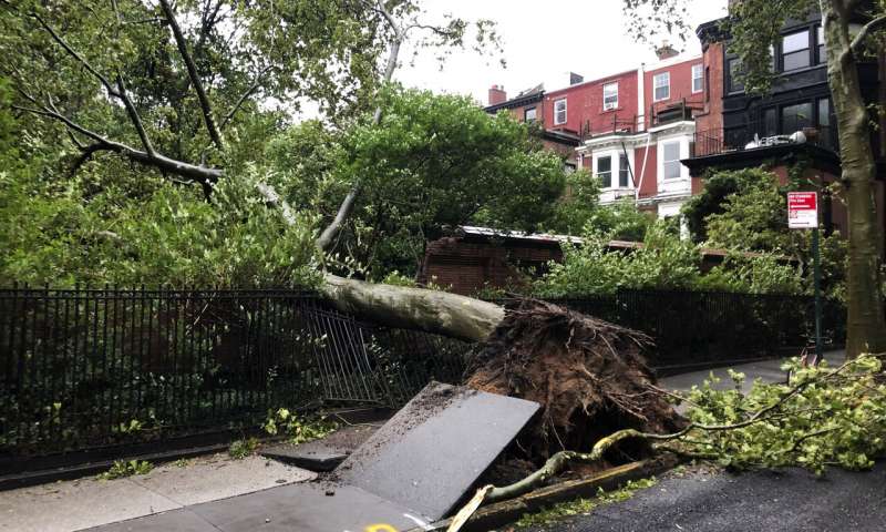 Tropic storm Isaias whips up eastern US, killing at least 6