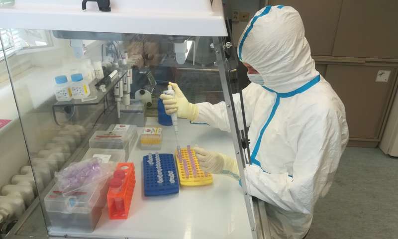 How do epedemics come to a stop? Scientists consider genetic mutation of the pathogens as a possible cause