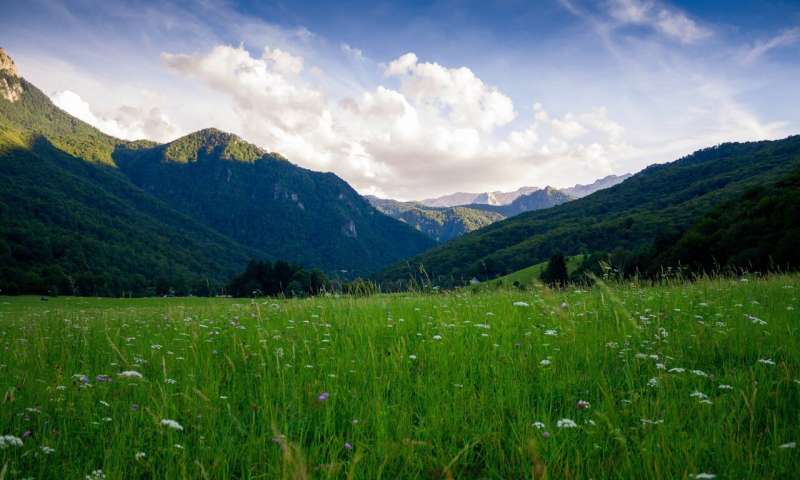 Credit: Unsplash/CC0 Public Domain nature