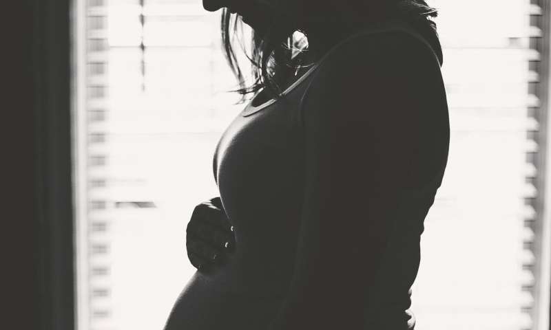 Credit: CC0 Public Domain pregnant