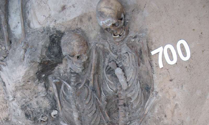 17th century skeletons of plague victims from the St. Gertrude cemetery in Riga, Latvia. From the individual marked with the number 701, scientists were able to reconstruct an entire plague genome. Credit: Guntis Gerhards How do epedemics come to a stop? Scientists consider genetic mutation of the pathogens as a possible cause