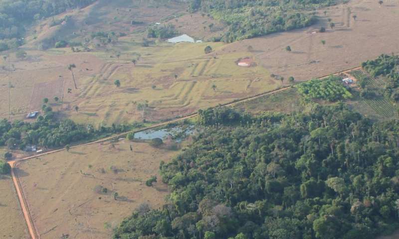 Aerial view of a main research site called Tequinho. Credit: Martti Pärssinen The millenial pre-colonial cultural inluence is evident in the Amazon forest