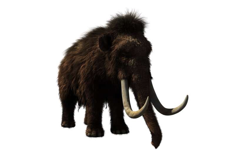 Credit: Pixabay/CC0 Public Domain woolly mammoth