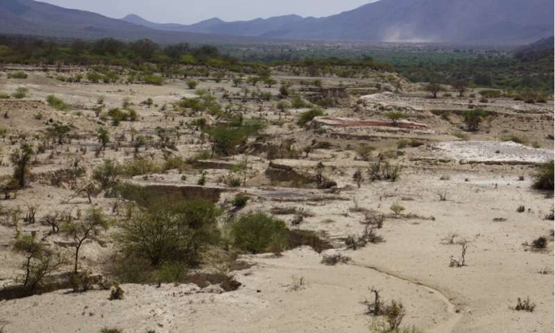 The Olorgesailie Basin in the Kenya Rift Valley, part of the Eastern Branch of the East African Rift System. In the background the high topography of the Rift's border faults. Credit: Corinna Kalich, University of Potsdam Why the Victoria Plate in Africa rotates