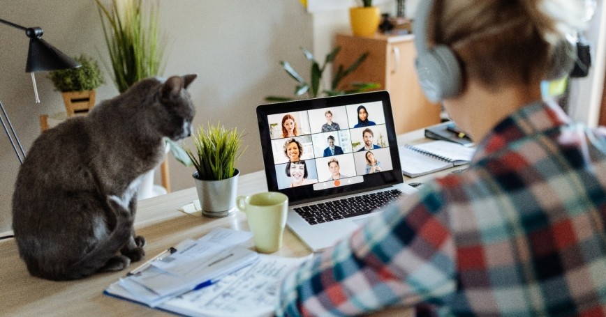 Woman working at home on a laptop with cat on the desk, photo by Drazen_/Getty Images