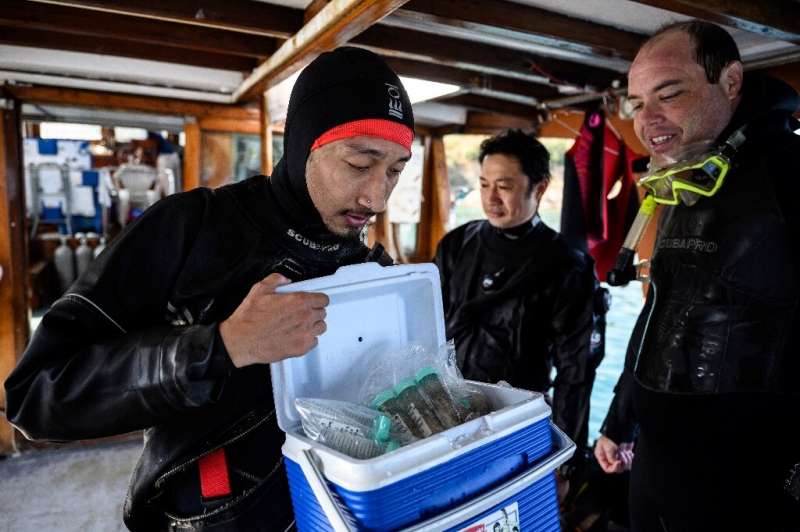 A diver looks at samples stored in a cool box A diver looks at samples stored in a cool box