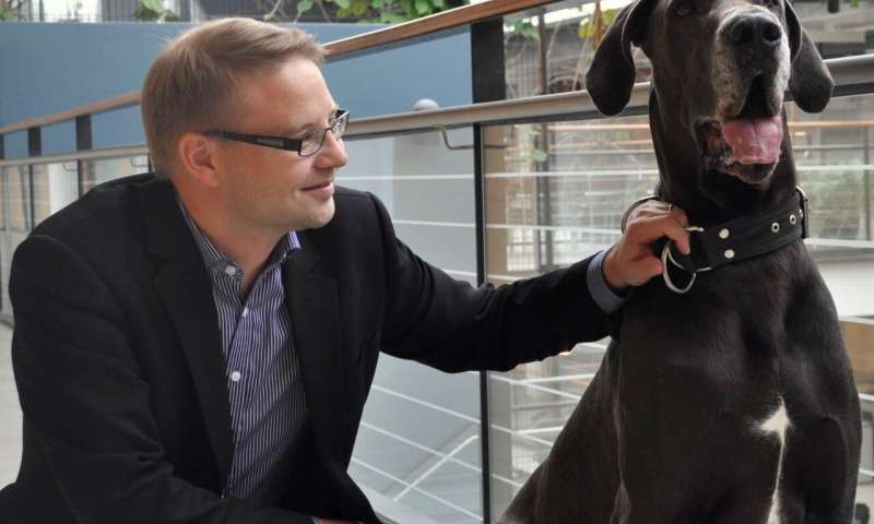 Fearful Great Danes provide new insights to genetic causes of fear