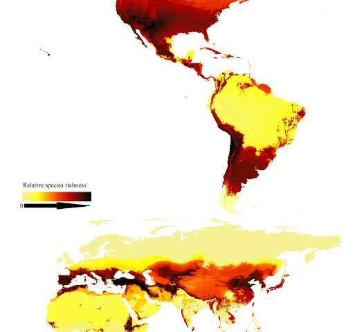 This map shows modeled relative species richness of bees around the world and depicts the bimodal latitudinal gradient. Darker areas have more species. Credit: Orr et al./Current Biology Researchers create first map of bee species around the globe