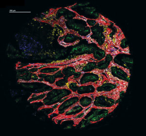 Fluidigm’s Imaging
