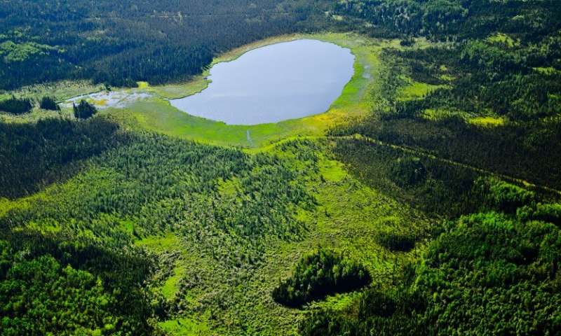 North American boreal regions like this area near Fort McMurray in Alberta contain extensive, peat-forming wetlands that could offer havens for plant and animal species. Large, deep peatlands may delay the drying effects of climate change. Peatlands also provide refuge from wildfires because they burn less severely and less often, according to researchers. Credit: Michel Rapinski Scientists pinpoint areas in boreal forests that offer refuge to plants and animals as climate gets warmer and drier