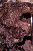 Newswise: Volcanic Activity and Changes in Earth’s Mantle Were Key to Rise of Atmospheric Oxygen