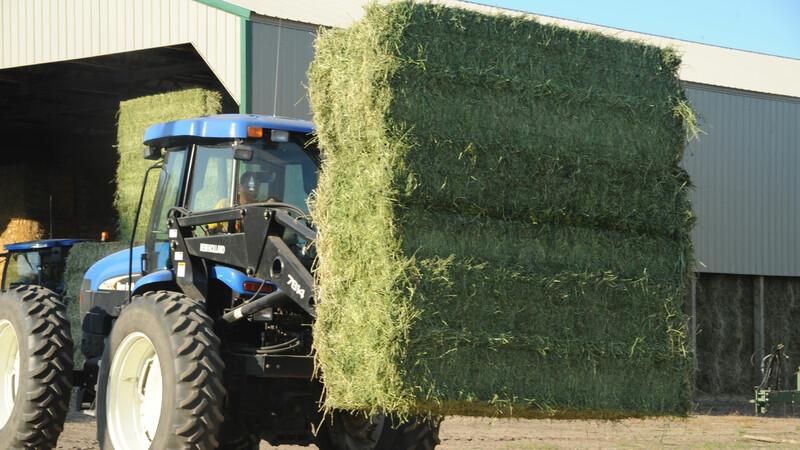 large-bales-on-telehandler.jpg large-bales-on-telehandler.jpg