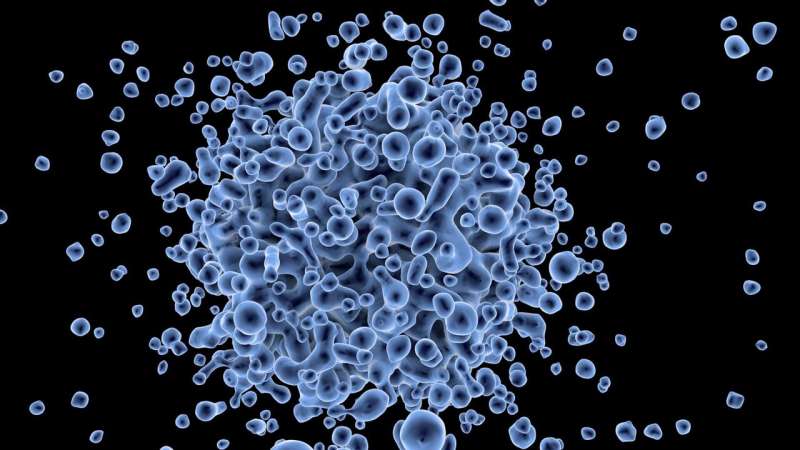 Credit: CC0 Public Domain gene