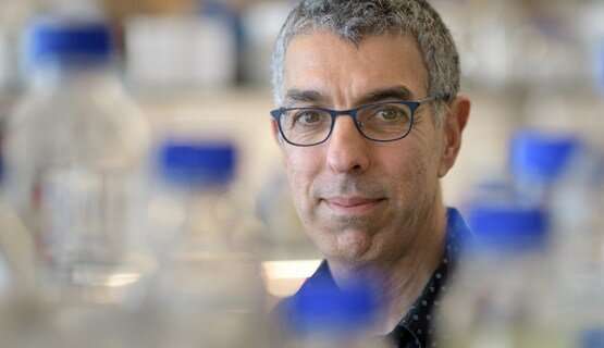 Reuven Agami, group leader, oncogenomics. Credit: Netherlands Cancer Institute Cancer cells circumvent immune system, but reveal themselves in the process