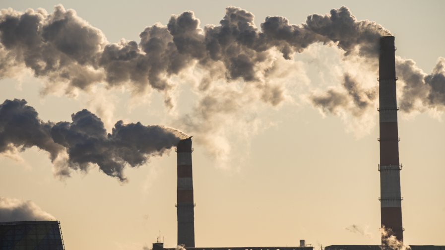 Coal demand to rise 2.6% in 2021 after record decline