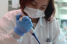 A SMART Antimicrobial Resistance Interdisciplinary Research Group scientist optimizes a prototype assay.