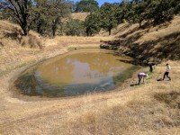 Newswise: New studies show how to save parasites and why it’s important