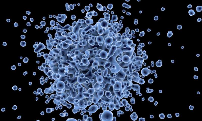Credit: CC0 Public Domain gene