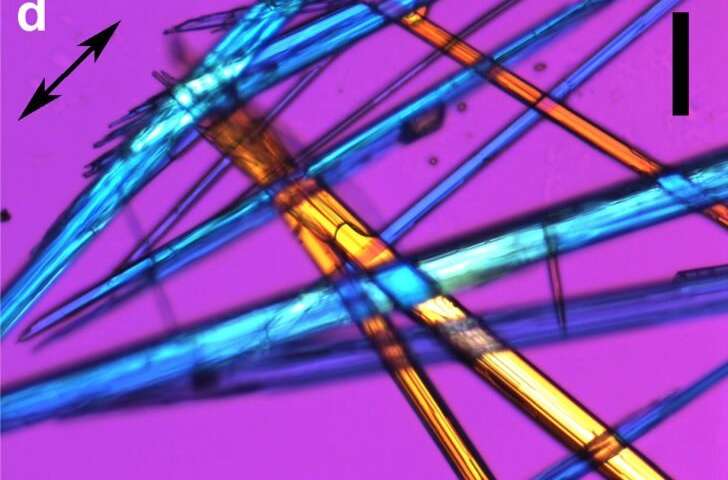 Brazilian research group shows that valproic acid (VPA), used to treat epilepsy since the 1960s, modulates gene expression in tumor gene models and acts on DNA conformation and the histones in chromatin (polarized light view of sodium valproate crystals. Credit: International Journal of Biological Macromolecules Anti-convulsant drug can modify DNA conformation and interact with chromosome proteins