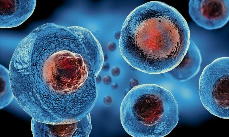 DNA exchange between ancient giant viruses and ancient biological cells might have been the key to the evolution of nuclei in eukaryotic cells Credit: Tokyo University of Science In Ancient Giant Viruses Lies the Truth Behind Evolution of Nucleus in Eukaryotic Cells