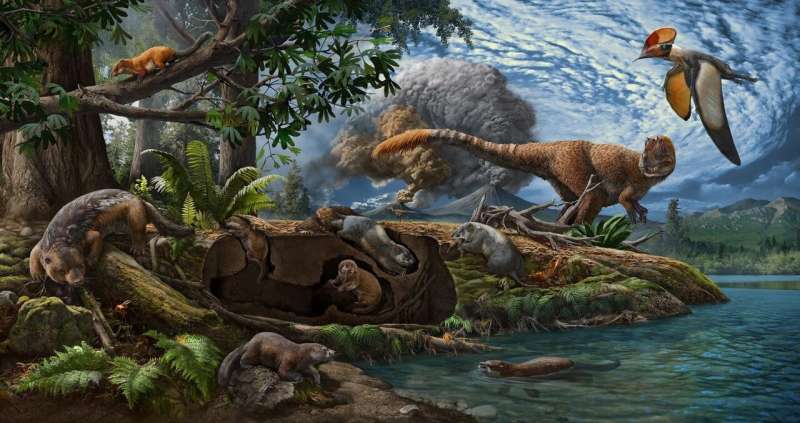 The dioramic landscape illustrates the Early Cretaceous Jehol Biota with emphasis on mammaliamorphs. Credit: © Chuang Zhao Scientists discover two new species of ancient, burrowing mammal ancestors