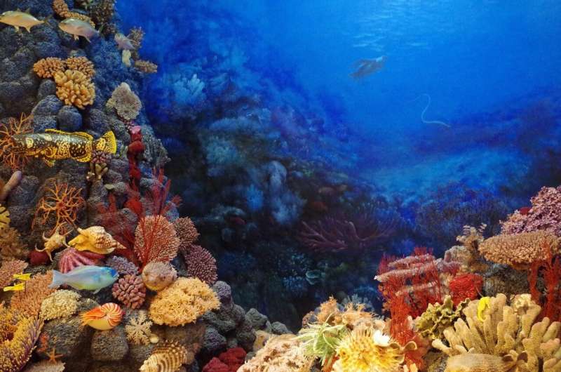 Credit: Pixabay/CC0 Public Domain coral