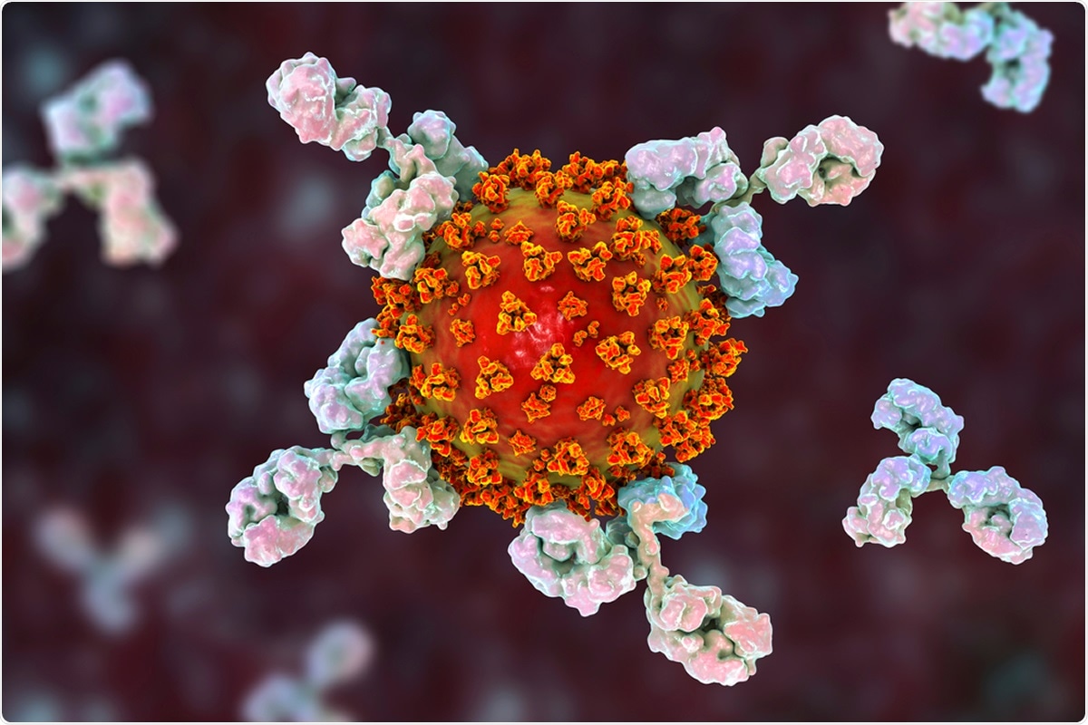 Study: Prevalence of antibodies to SARS-CoV-2 in healthy blood donors in New York. Image Credit: Kateryna Kon / Shutterstock Study: Prevalence of antibodies to SARS-CoV-2 in healthy blood donors in New York. Image Credit: Kateryna Kon / Shutterstock