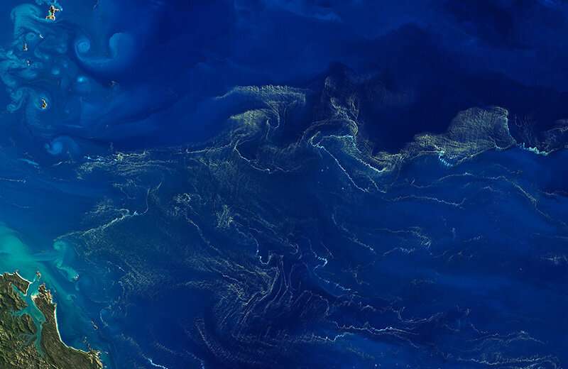 Viewed from space, a bloom of the nitrogen-fixing phytoplankton Trichodesmium spans hundreds of square miles in the Coral Sea off the northeast Australian coast. Credit: Joshua Stevens/NASA Earth Observatory Life on Earth may be carbon-based, but another element matters, too