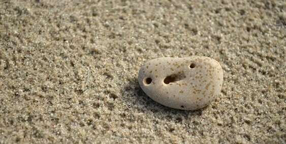 Why the brain is programmed to see faces in everyday objects