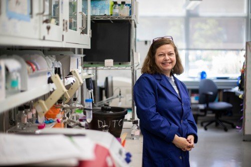 Newswise: Virologist Shares What We Know About COVID-19