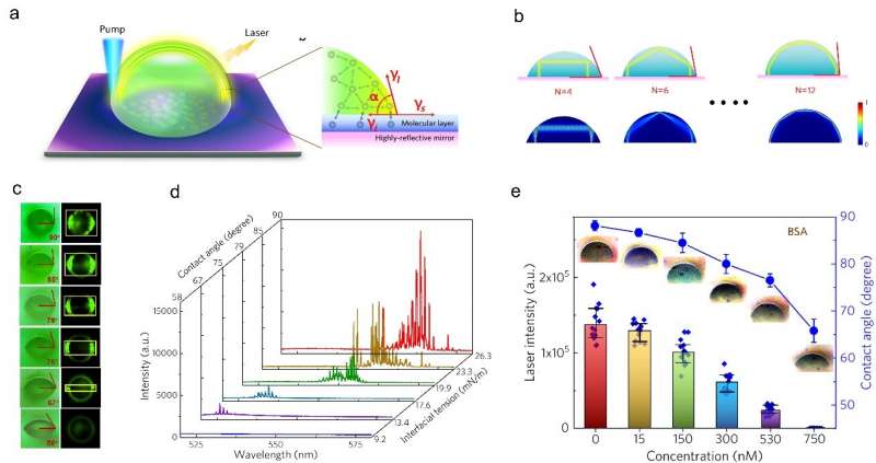 (a) Schematic of a droplet laser hosting arc-like (AL) modes. A molecular layer is deposited between the mirror and the droplet. The droplet-solid interfacial tension, the solid surface tension, and the droplet surface tension commonly determine the contact angle. (b) AL oscillation paths (top) and simulated electric field distributions of AL modes (below) under different contact angles. (c) Left: side-view profiles of droplets with varying contact angles. Right: optical images of the droplets after pumping. Yellow boxes, the laser emission regions. (d) Optical spectra of droplet resonators with different interfacial tensions. (e) Contact angles and spectrally integrated laser outputs as a function of different biomolecular concentration of bovine serum albumin (BSA) in droplets. Credit: Qiao et al. Lasing mechanism found in water droplets