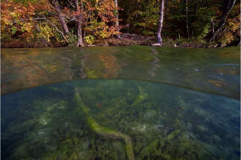 Acid rain seems to be a thing of the past, yet sulphate continues to rise in many inland waters worldwide. Credit: Solvin Zankl Acid rain is yesterday’s news? Sulfate in freshwaters remains a problem