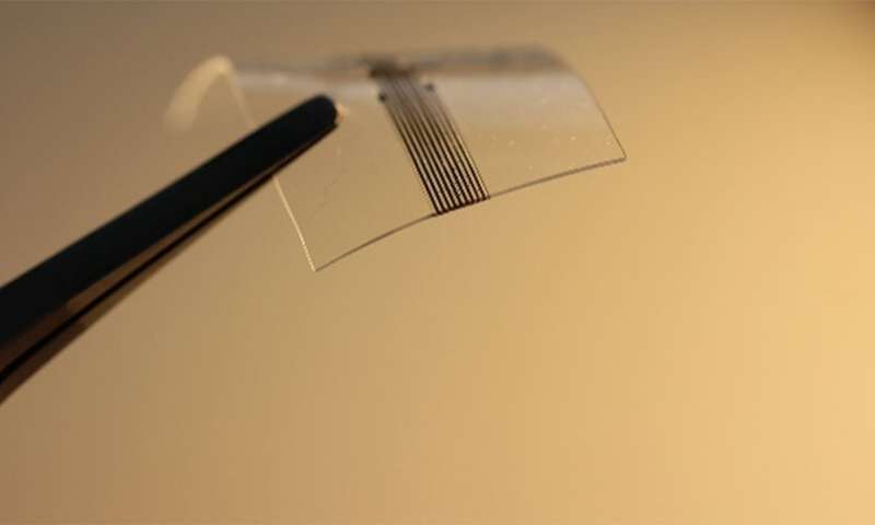 Credit: University of Sheffield Engineers link brains to computers using 3-D printed implants