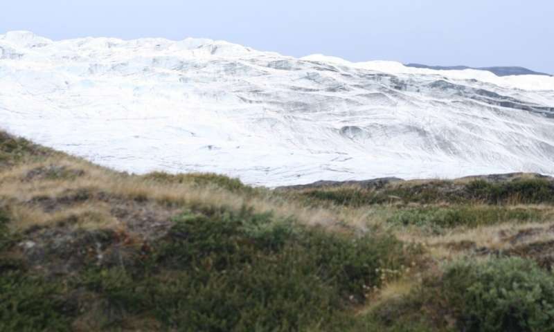 Changes on land are underway in the Arctic as sea ice is lost. Credit: Eric Post/UC Davis As Sea Ice Disappears, A Greener and Browner Arctic Emerges