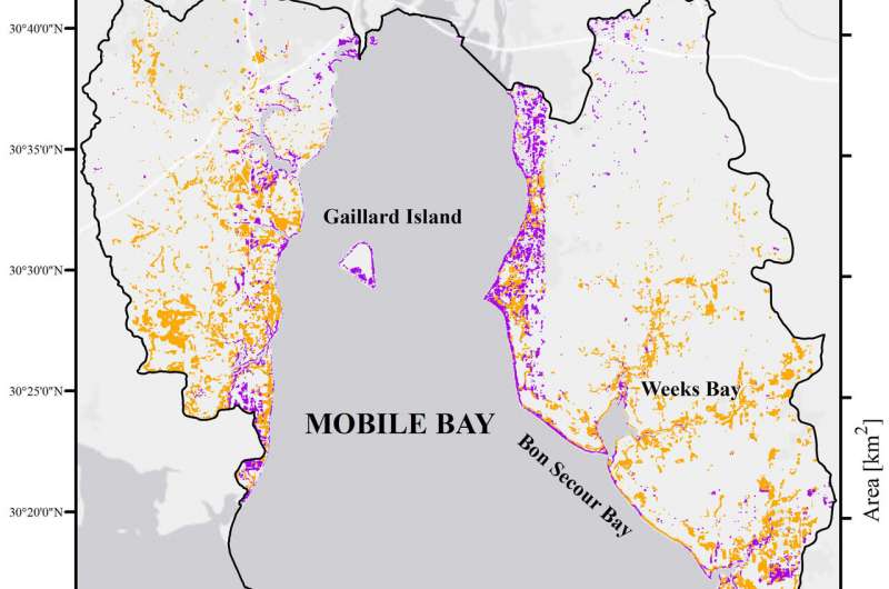 Marsh loss seen in satellite images is isolated in purple and orange colors in a map of the Mobile Bay watershed. Credit: University of Alabama in Tuscaloosa Nearly a third of Mobile Bay marshes gone since 1980s, study finds