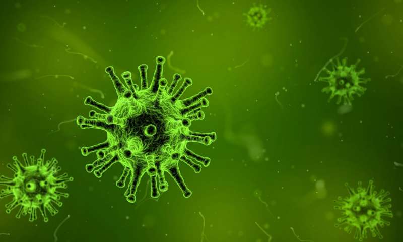 Credit: CC0 Public Domain virus