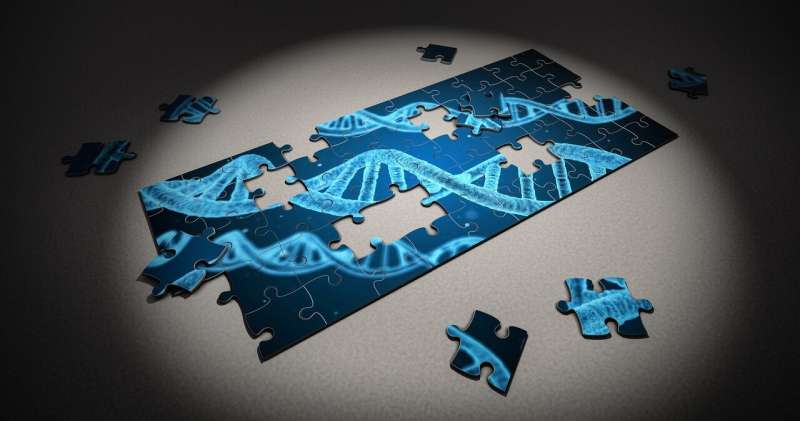 Credit: CC0 Public Domain gene